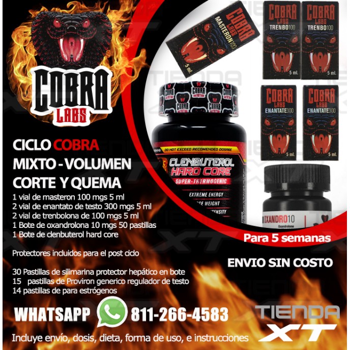 CICLO COBRA MIXTO - VOLUMEN DEFINICION Y QUEMA DE GRASA INTENSO