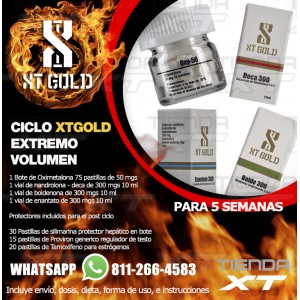 CICLO XTGOLD EXTREMO VOLUMEN 4+